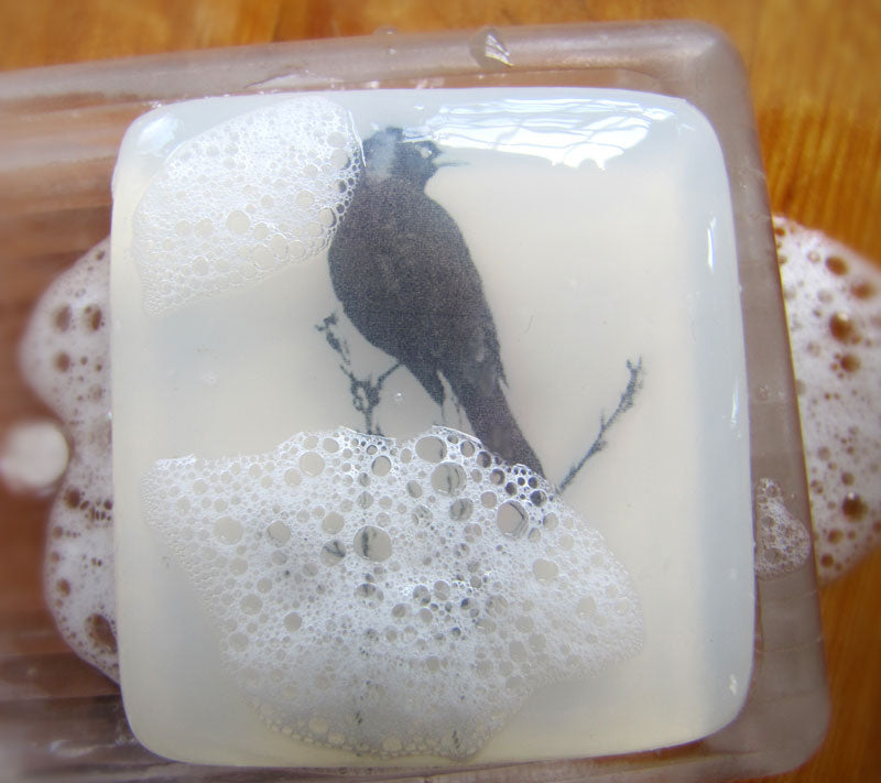 A close-up photograph of a square, translucent bar of soap containing an embedded black and white image of a black bird perched on a branch. The soap has white lather bubbles across its surface.