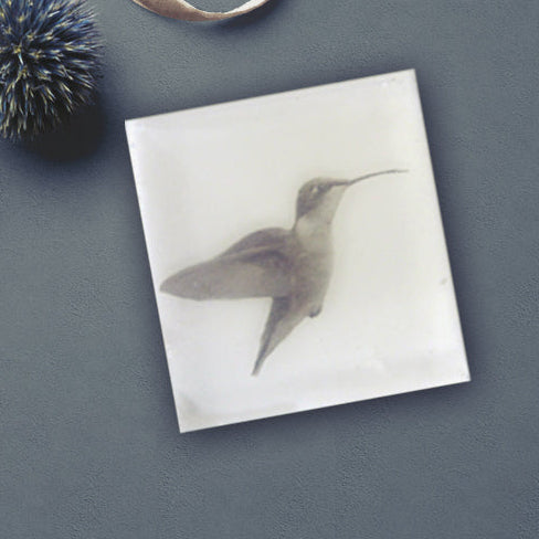 Hummingbird Sweet Nectar - Maine Handcrafted Bath Bar