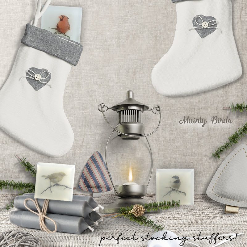 Chickadee Winter Woodland - Gentle, Natural Glycerin Bar