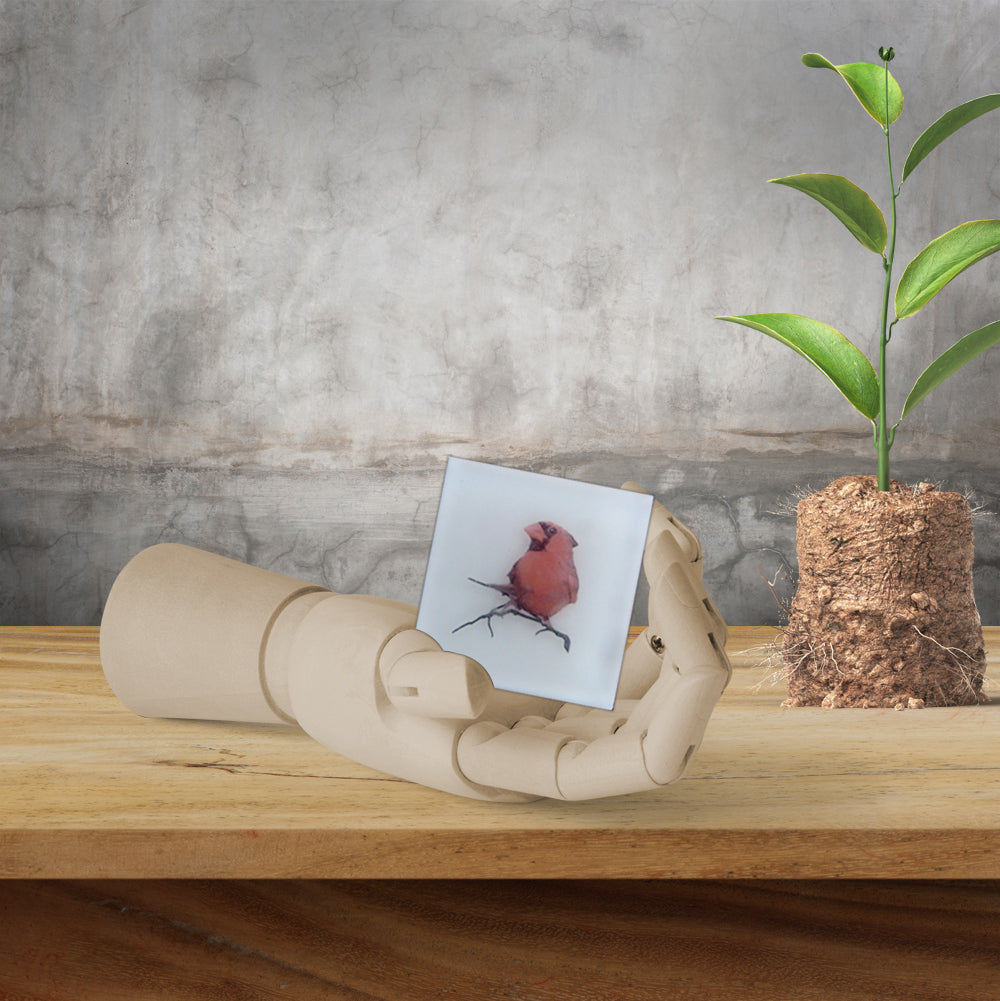 Cardinal Ruby Red Retreat - Handcrafted Maine Photo Soap