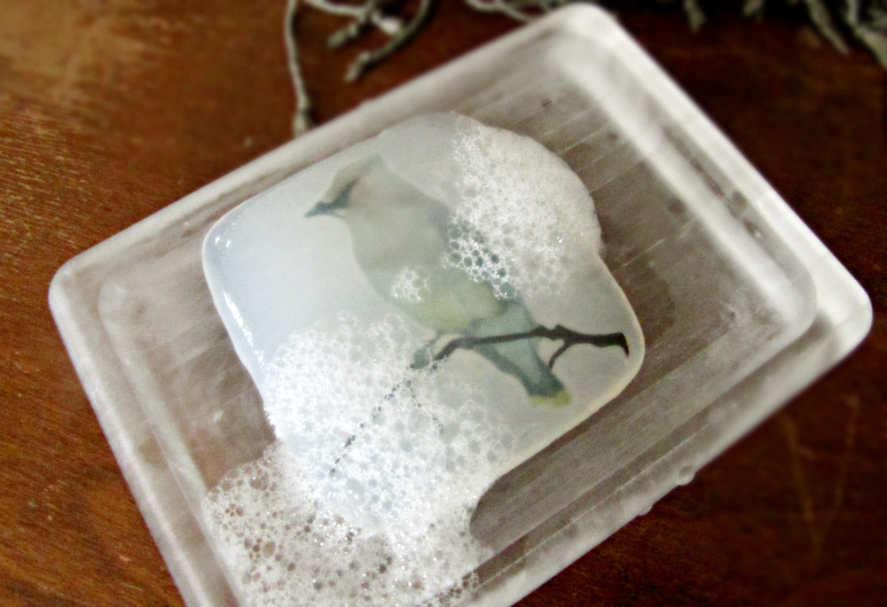 Cedar Waxwing Forest Sanctuary - Vegan Art Soap