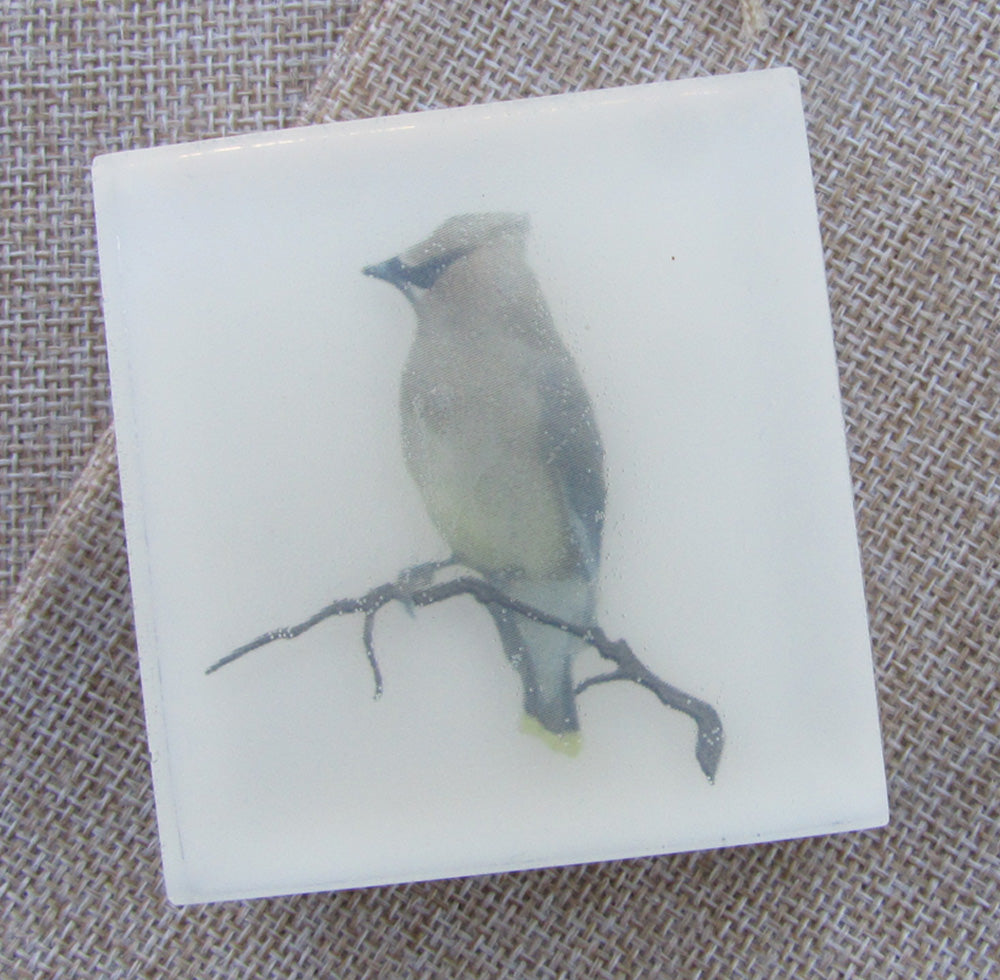 Cedar Waxwing Forest Sanctuary - Vegan Art Soap