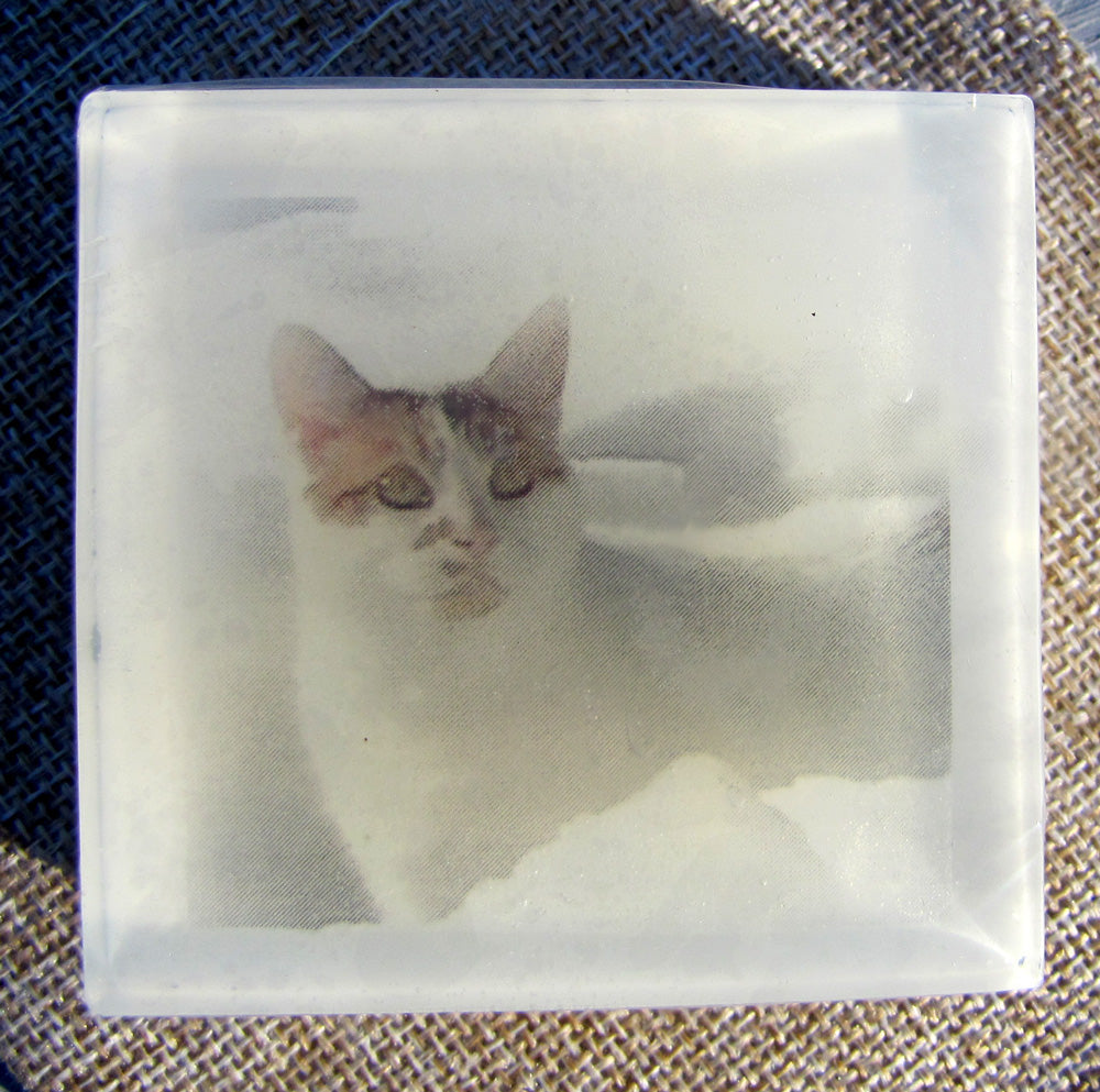 The Custom Photo Bar