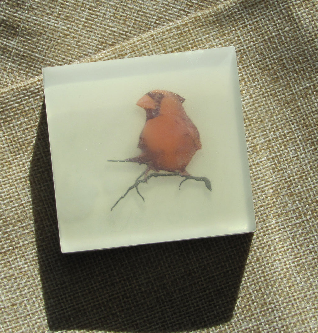Cardinal Ruby Red Retreat - Handcrafted Maine Photo Soap