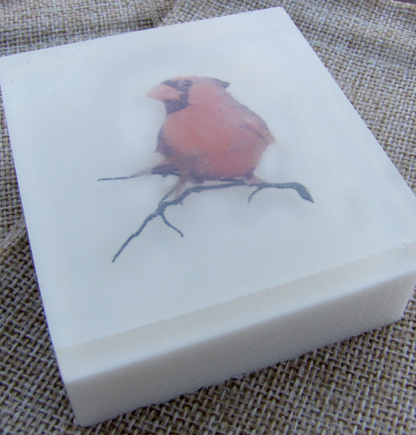 Cardinal Ruby Red Retreat - Handcrafted Maine Photo Soap
