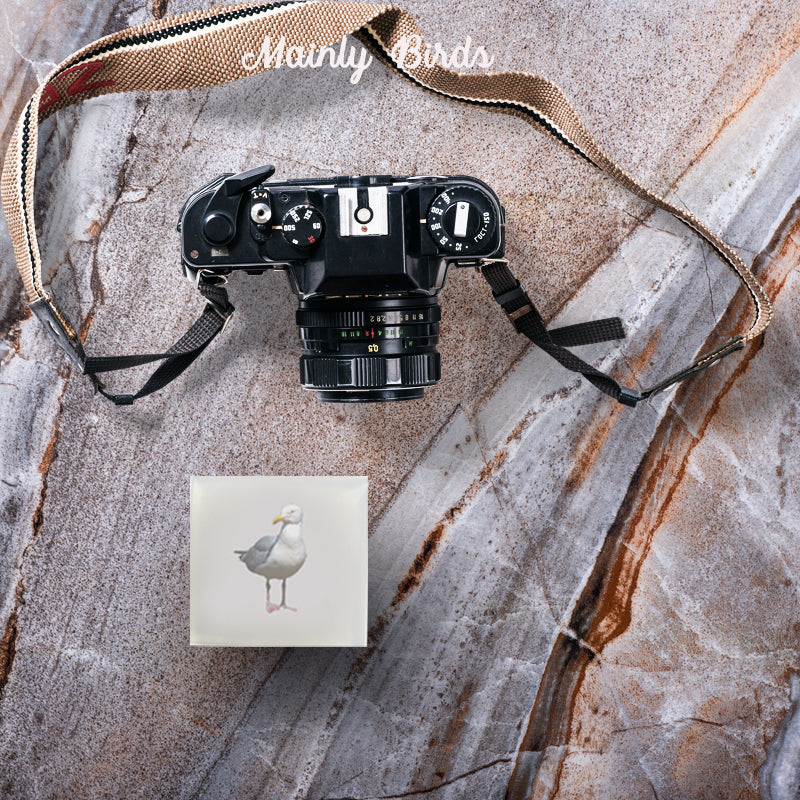 The Harpswell Collection Gift Set - 5-Piece Handcrafted Maine Bird Soaps