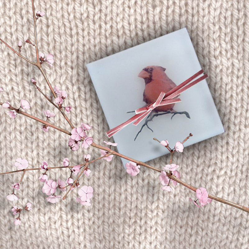 Cardinal Ruby Red Retreat - Handcrafted Maine Photo Soap