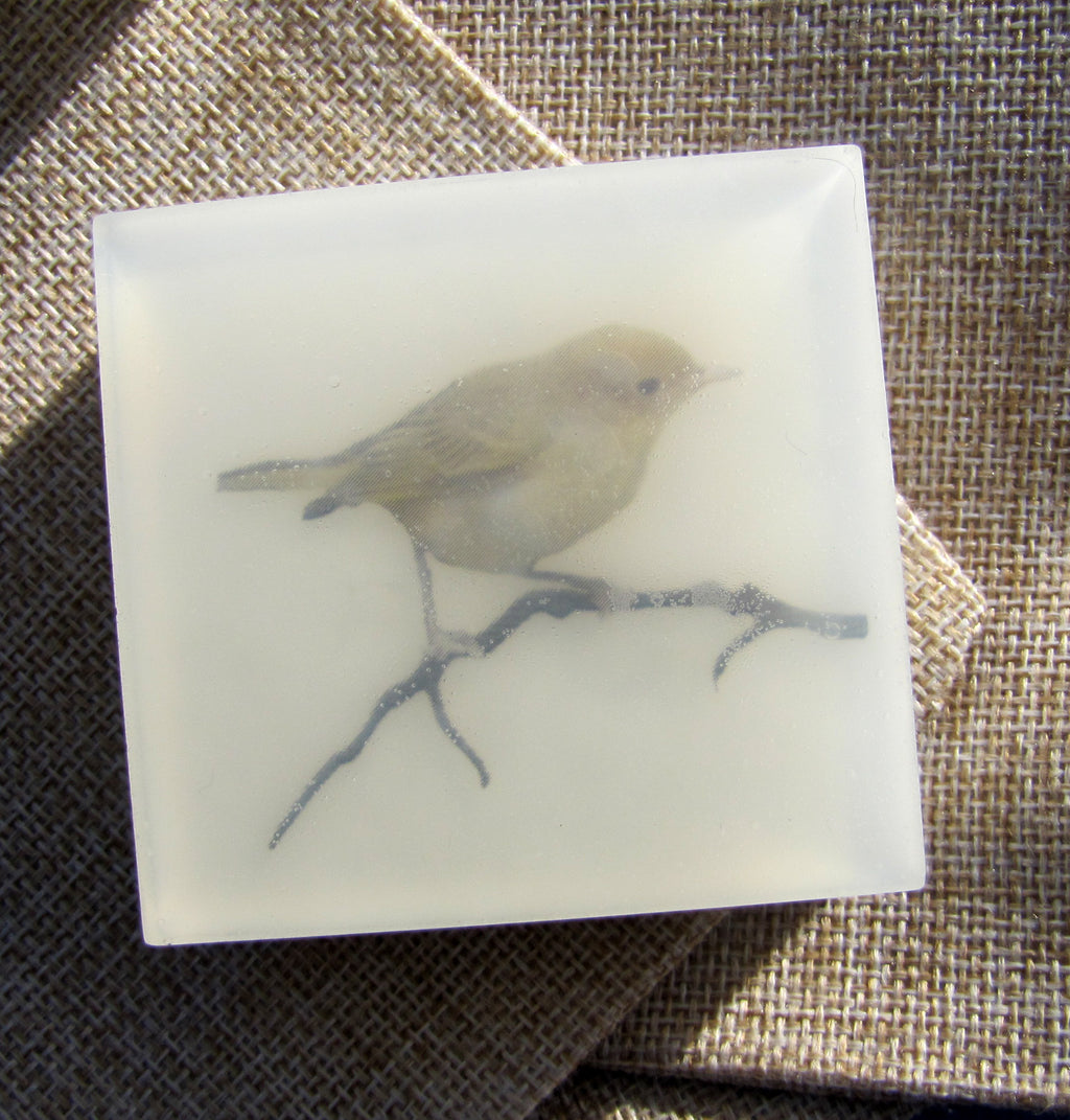 Warbler Artisan Art Soap - Vegan and Moisturizing