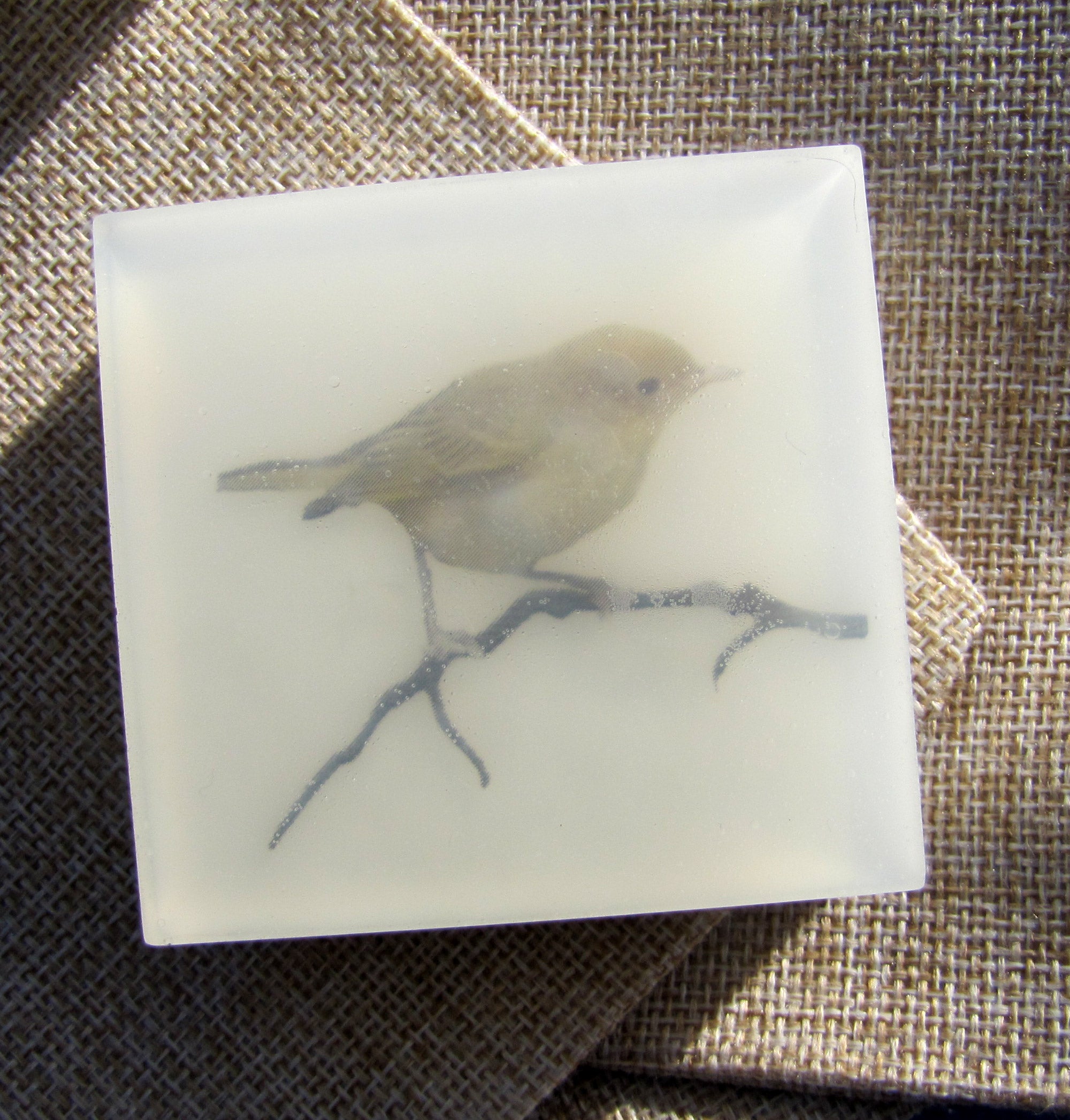 Warbler Artisan Art Soap - Vegan and Moisturizing