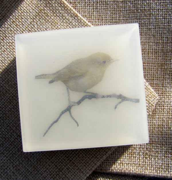 Warbler Artisan Art Soap - Vegan and Moisturizing