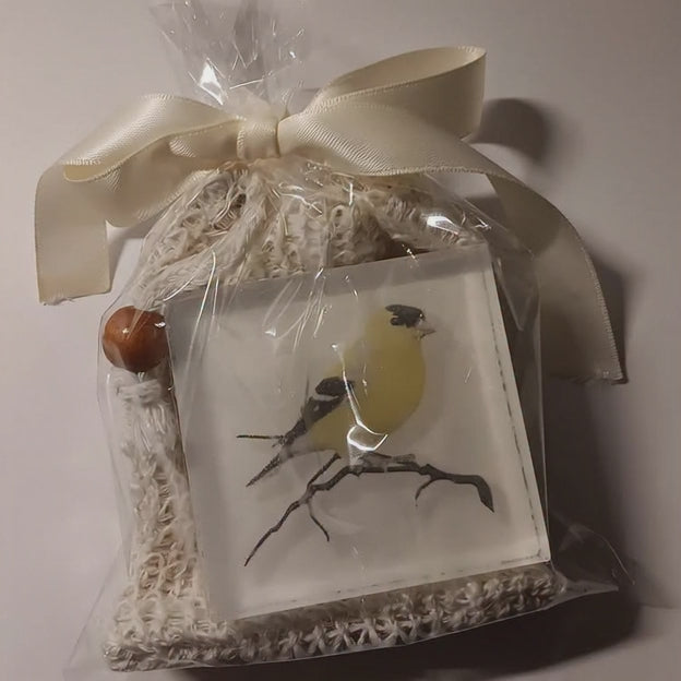 The Bird Art Soap & Saver Set